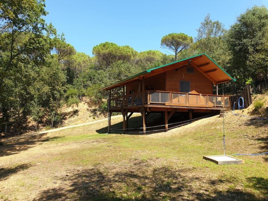 Rustic Cabin In The Woods/Cabana En El Bosque Amer ภายนอก รูปภาพ